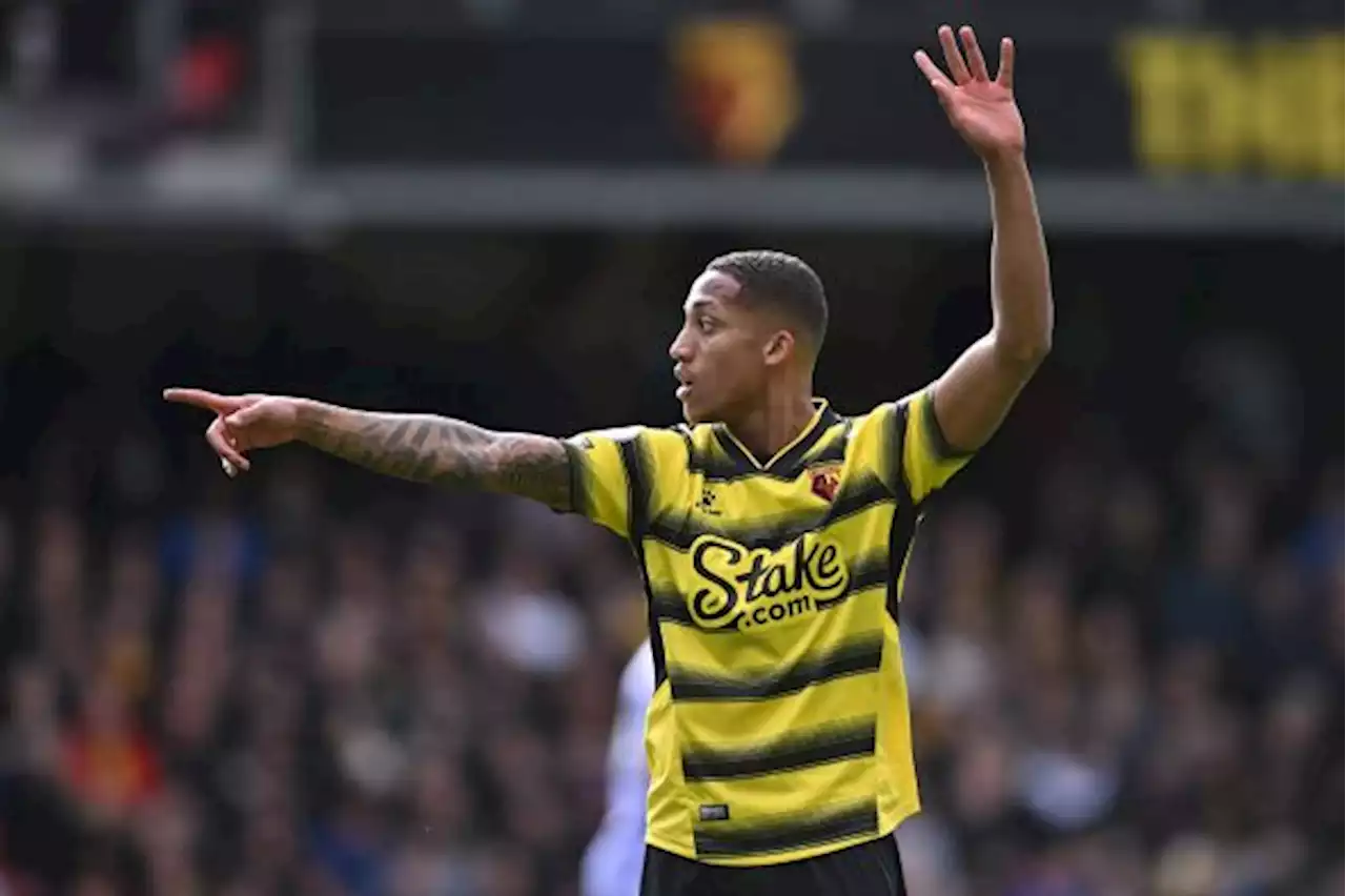 Brighton Boyong Joao Pedro dari Watford