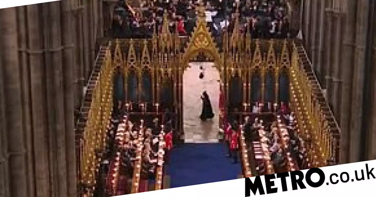 People are convinced they spotted the Grim Reaper at the King's coronation