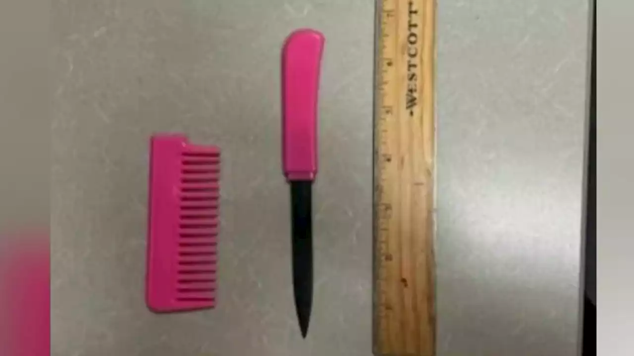 Man With Dagger in Pink Comb Arrested in LA City Council Meeting Disruption