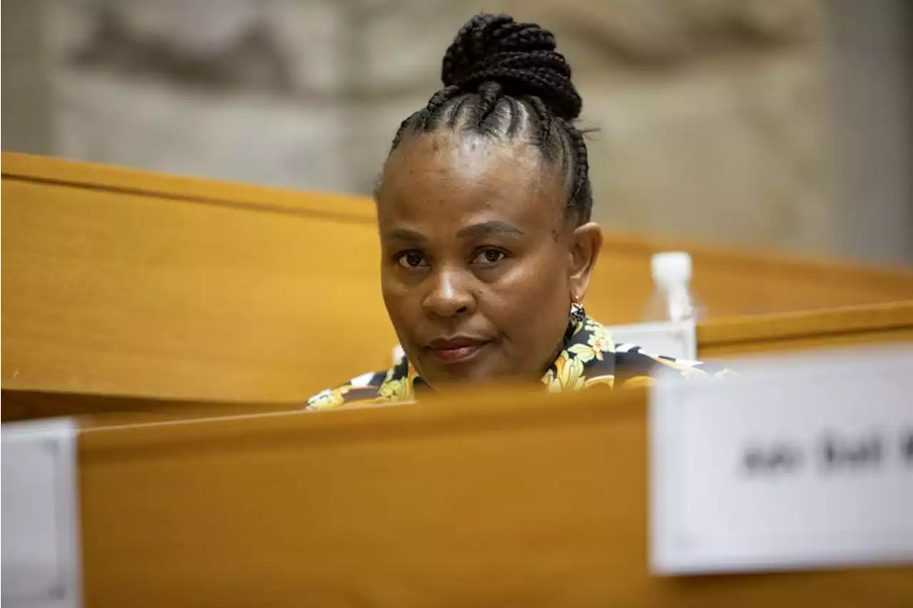 Busisiwe Mkhwebane wants the Constitutional Court to award her unlimited money for lawyers, urgently | News24