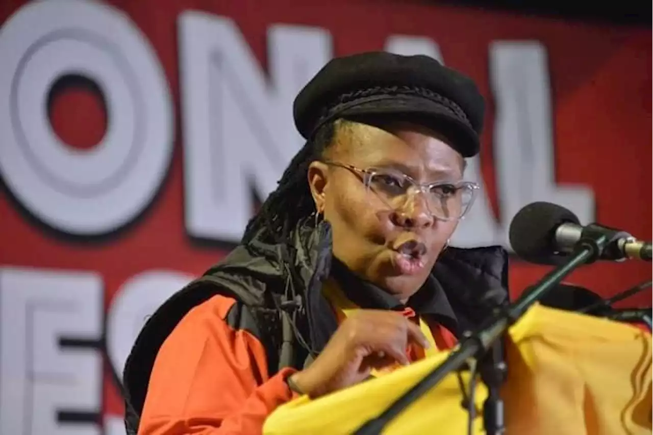 Expect more heads to roll, warns Saftu president after Numsa axing | Business