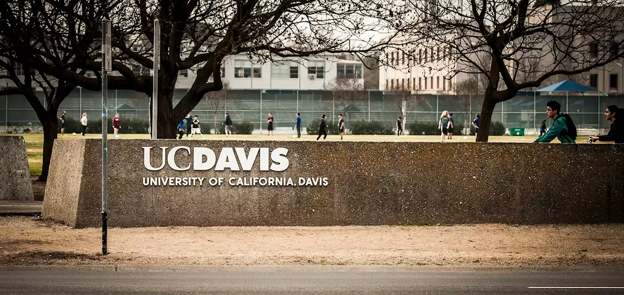 Who is Carlos Dominguez? Former UC Davis student arrested over stabbings