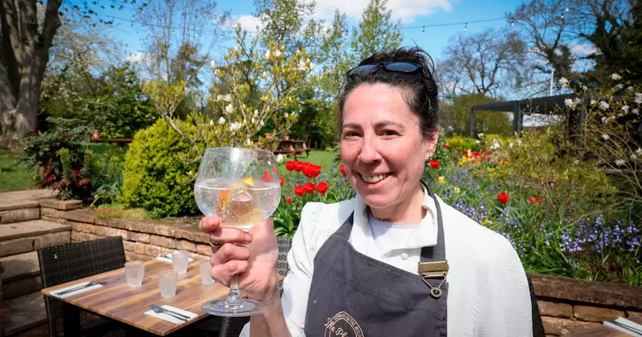 14 of the biggest and most attractive beer gardens