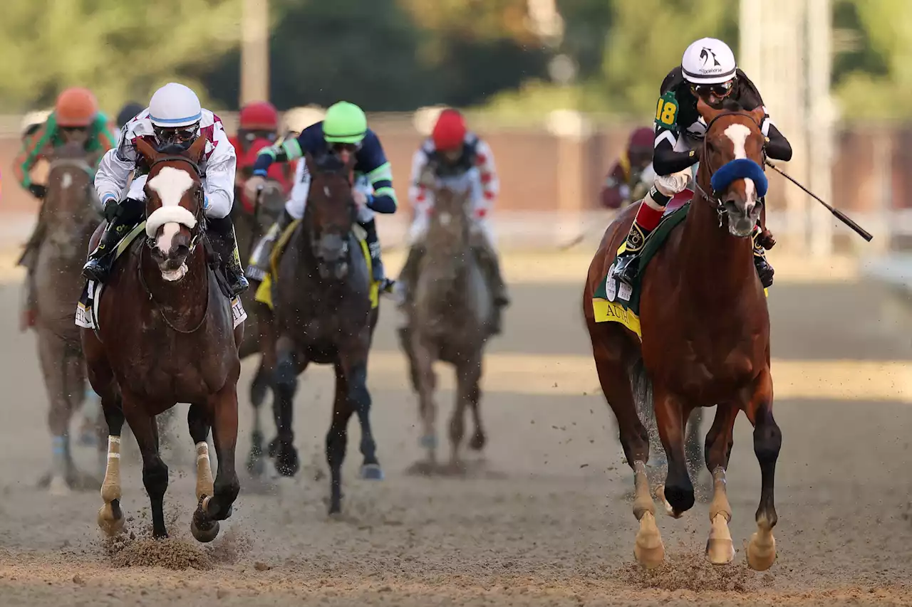 TwinSpires Offer Code NYPRACING: Grab huge sign-up bonus for Kentucky Derby 2023