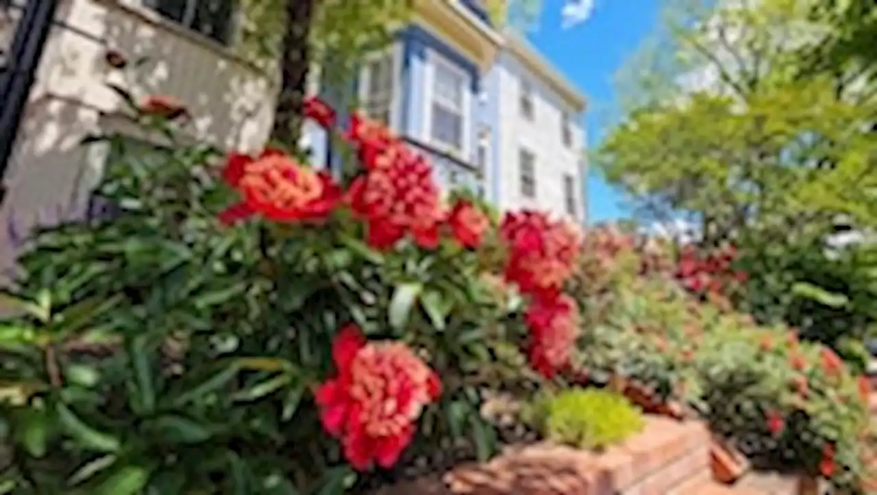 D.C.-area forecast: Sunny and beautiful today, with a chance of storms Sunday