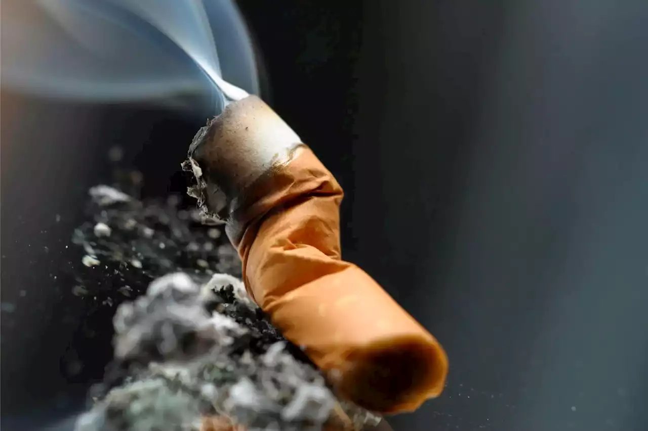 Toxic Time Bomb: The Dangers of Discarded Cigarette Butts