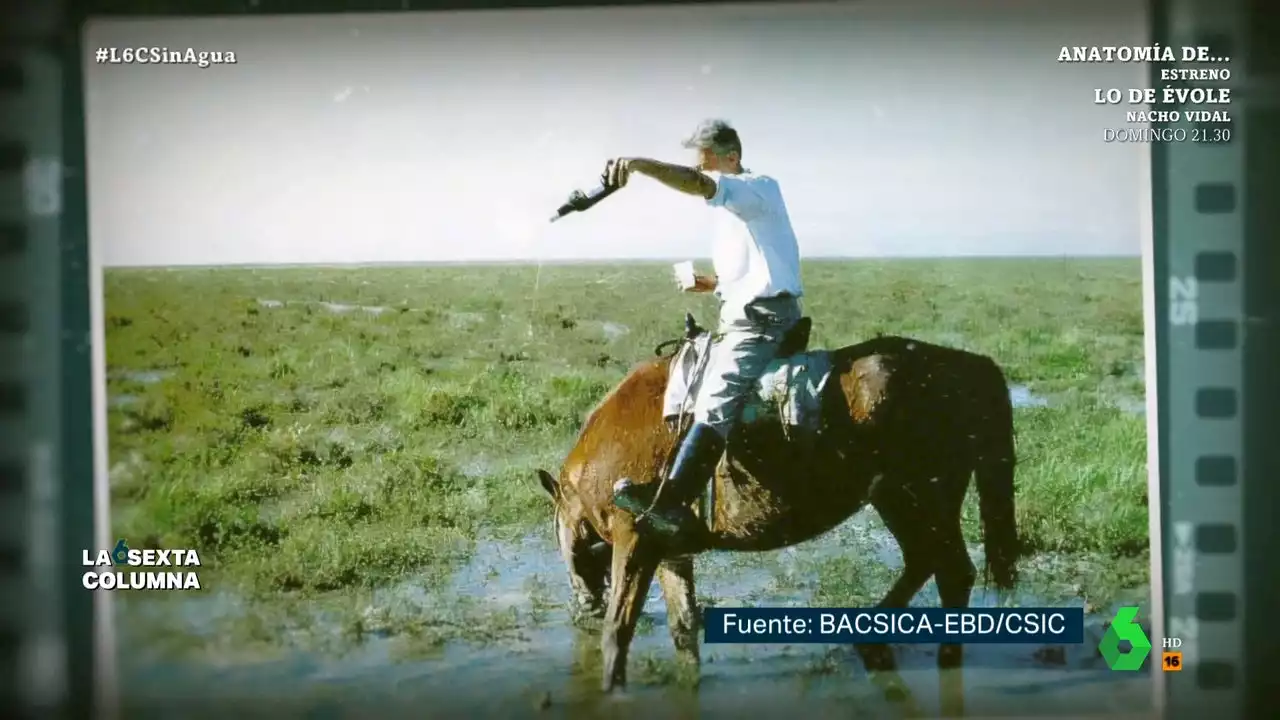 Federico Valverde desvela cómo engañó su padre a Franco para comprar Doñana y declararlo parque nacional