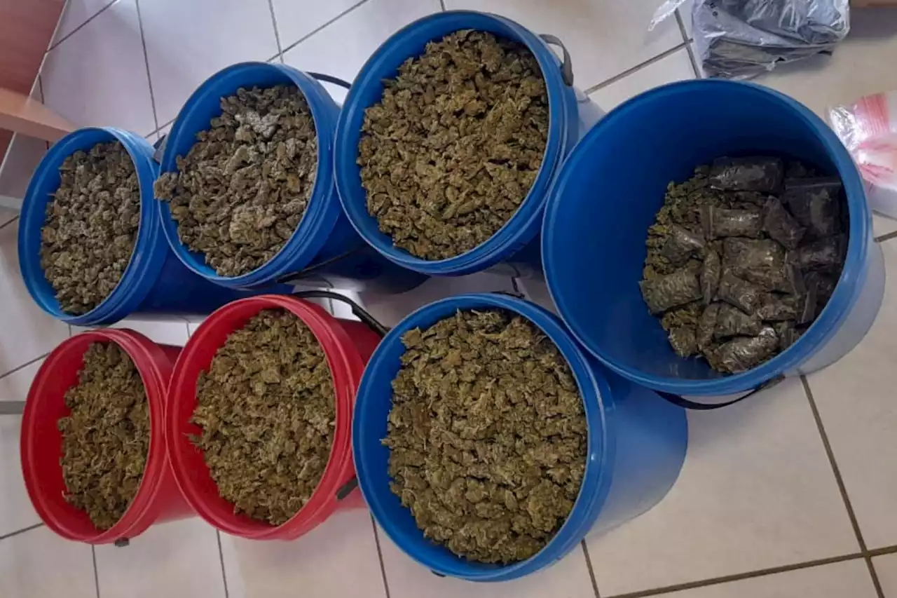 Police recover buckets of dagga, suspected dealer arrested | The Citizen