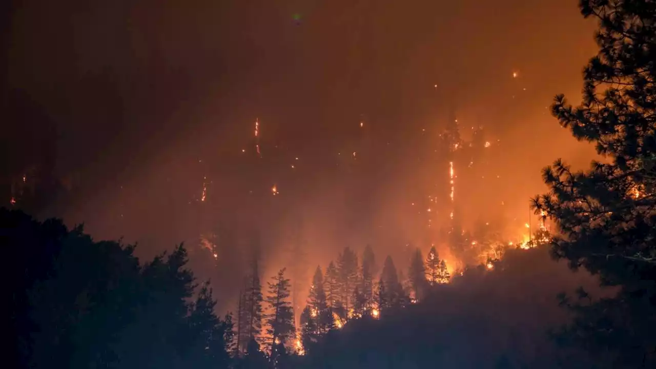 Wildfires in Western Canada force thousands to flee