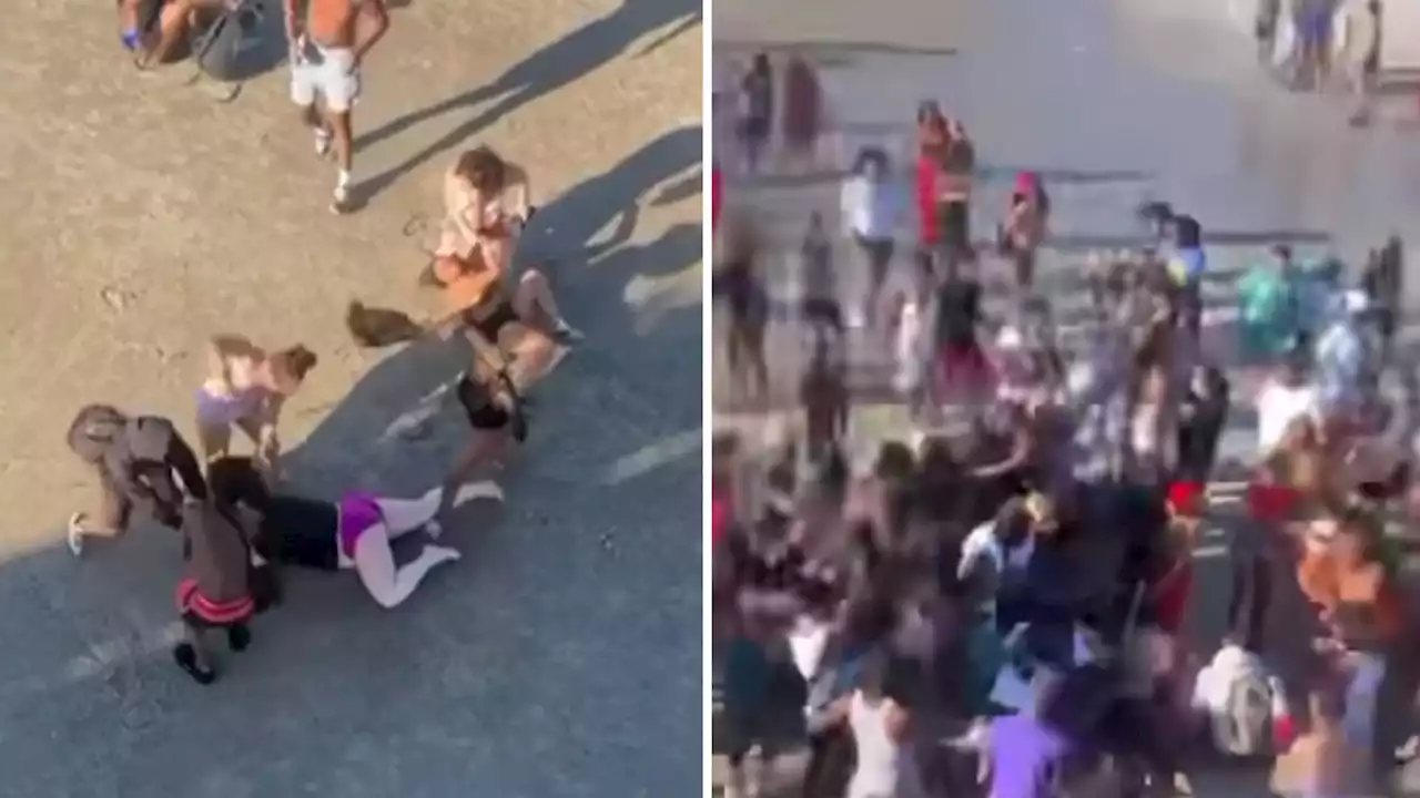 Woman Arrested After Bragging About 'Brutal' Beach Beatdown Caught on Video, Cops Say