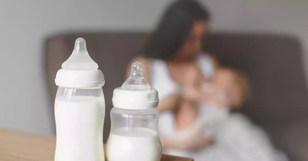 Best Bottles for Breastfed Babies 2023 - Today's Parent