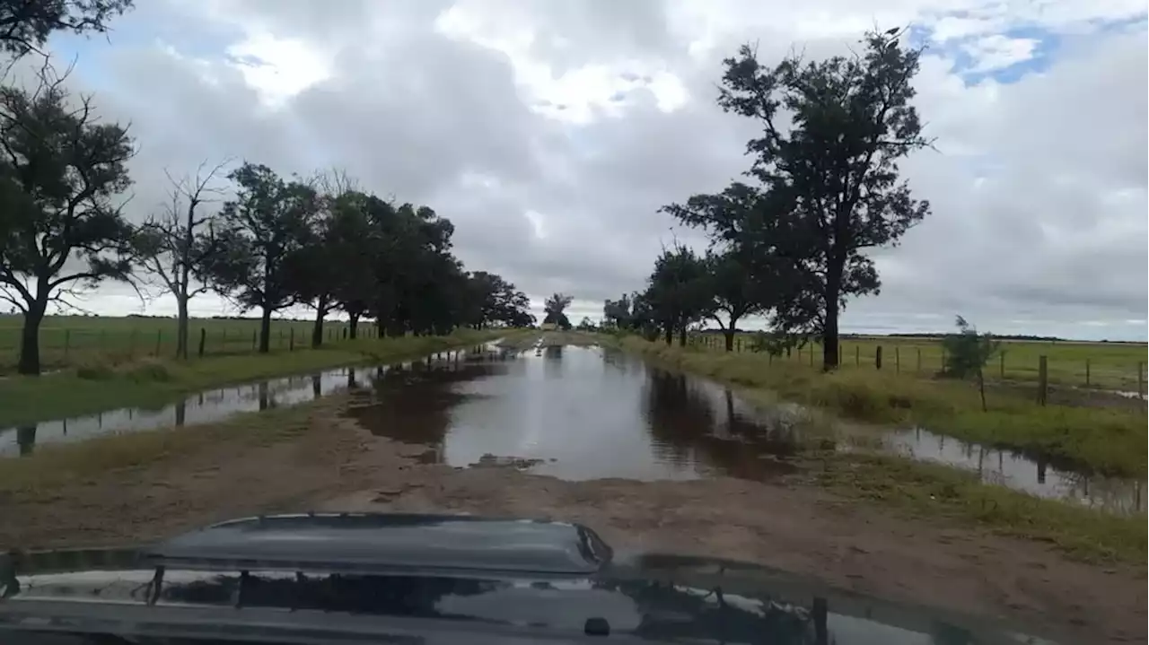 El campo se vuelve a ilusionar, llegaron abundantes lluvias para las nuevas siembras