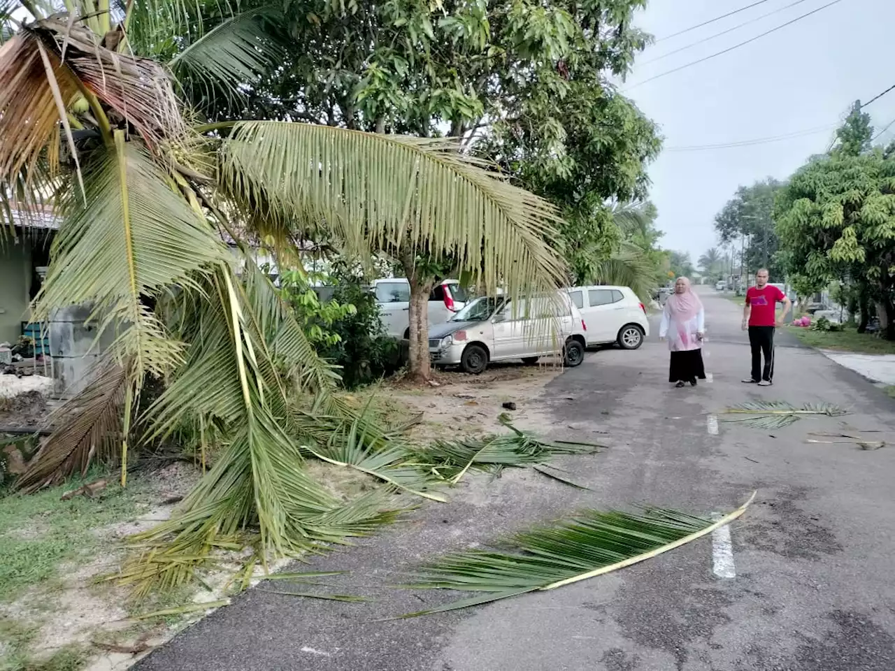 Gajah tiga beranak 'beraya' ke Taman Sri Lambak