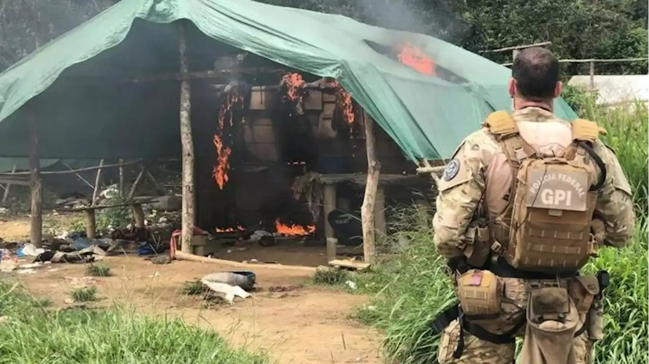 Alertas de desmatamento para garimpo ilegal em Terra Yanomami caem mais de 96% em abril, diz PF