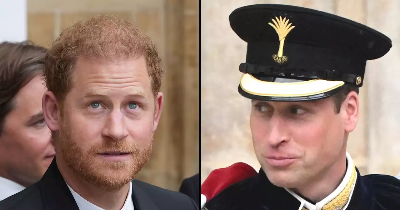 Prince Harry, William Avoid Interaction During Coronation Ceremony