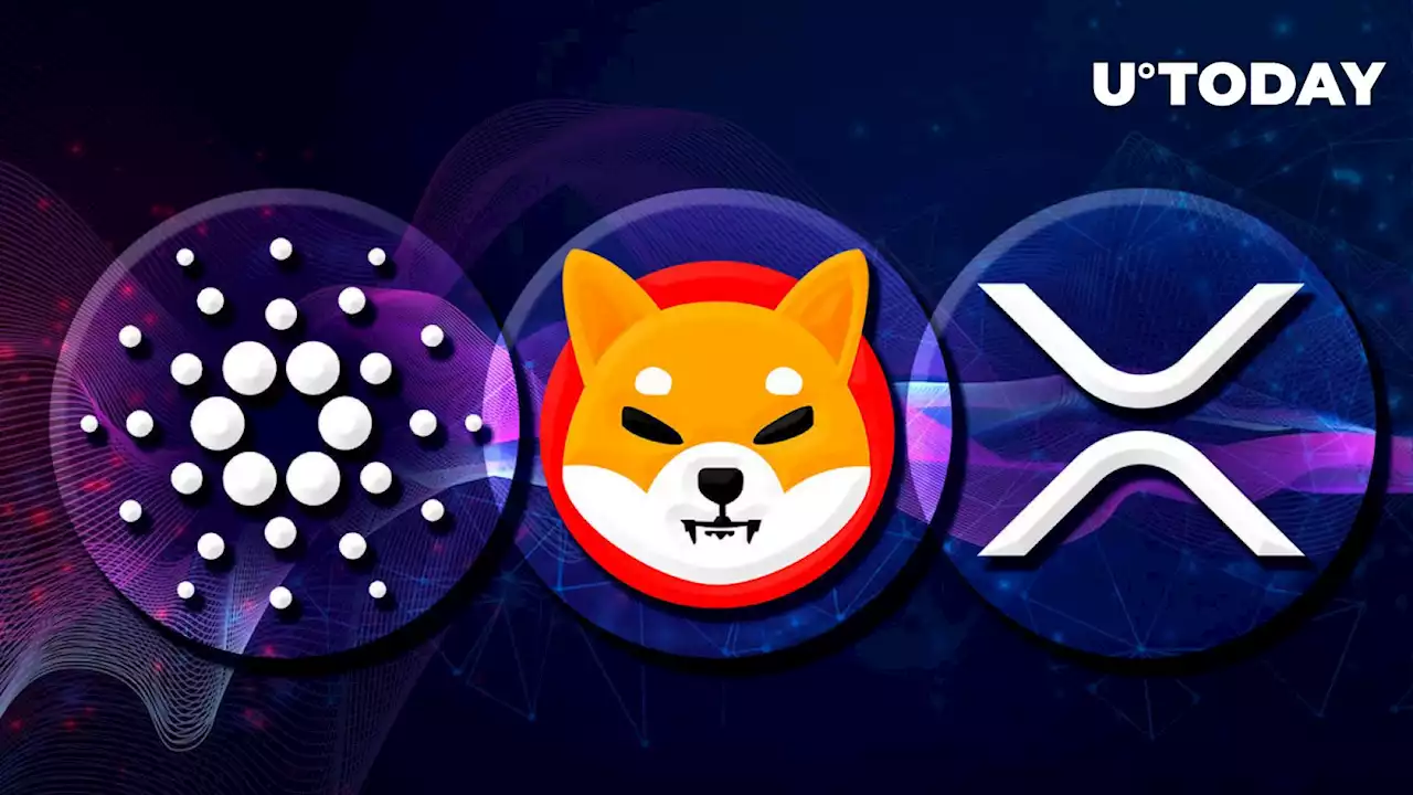 Shiba Inu (SHIB), XRP and Cardano (ADA) Now Accepted at All WordPress Stores via This Integration