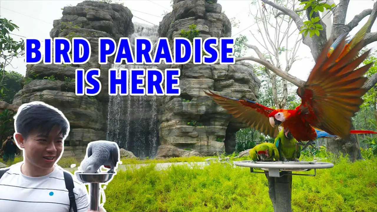 Singapore's latest Bird Paradise