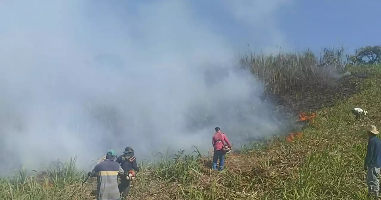 Intensa ola de calor en Bucaramanga provoca aumento de incendios forestales