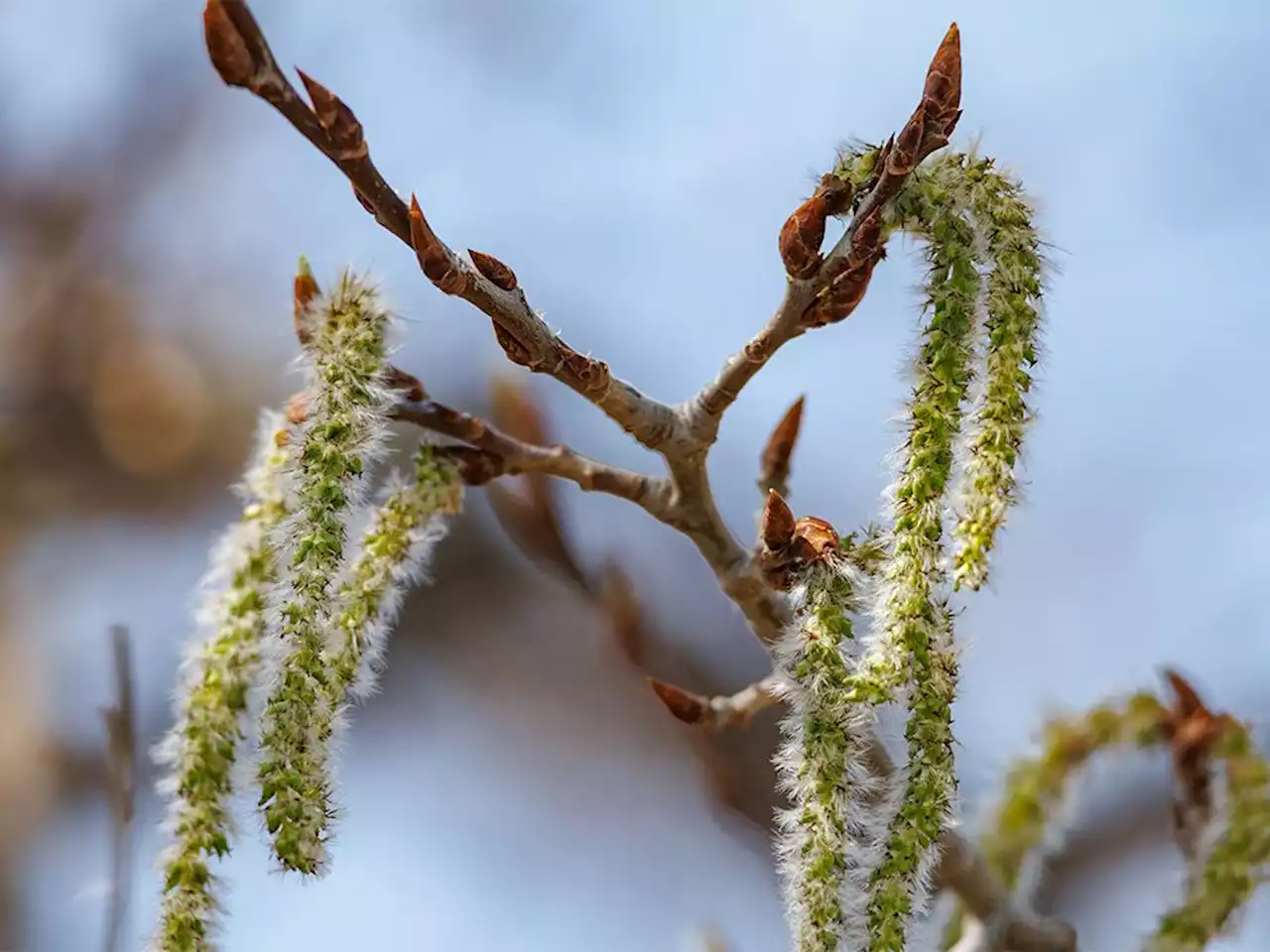 On the Road: Greening