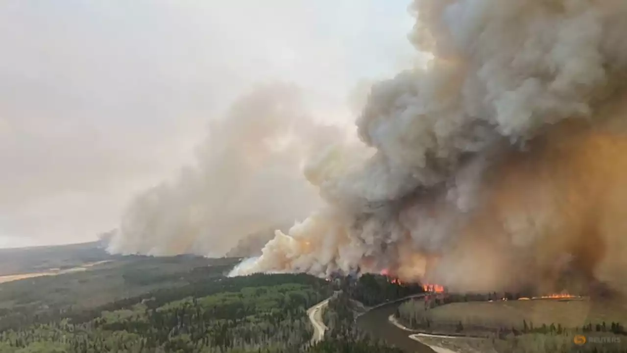 Canada's Alberta province declares state of emergency over wildfires