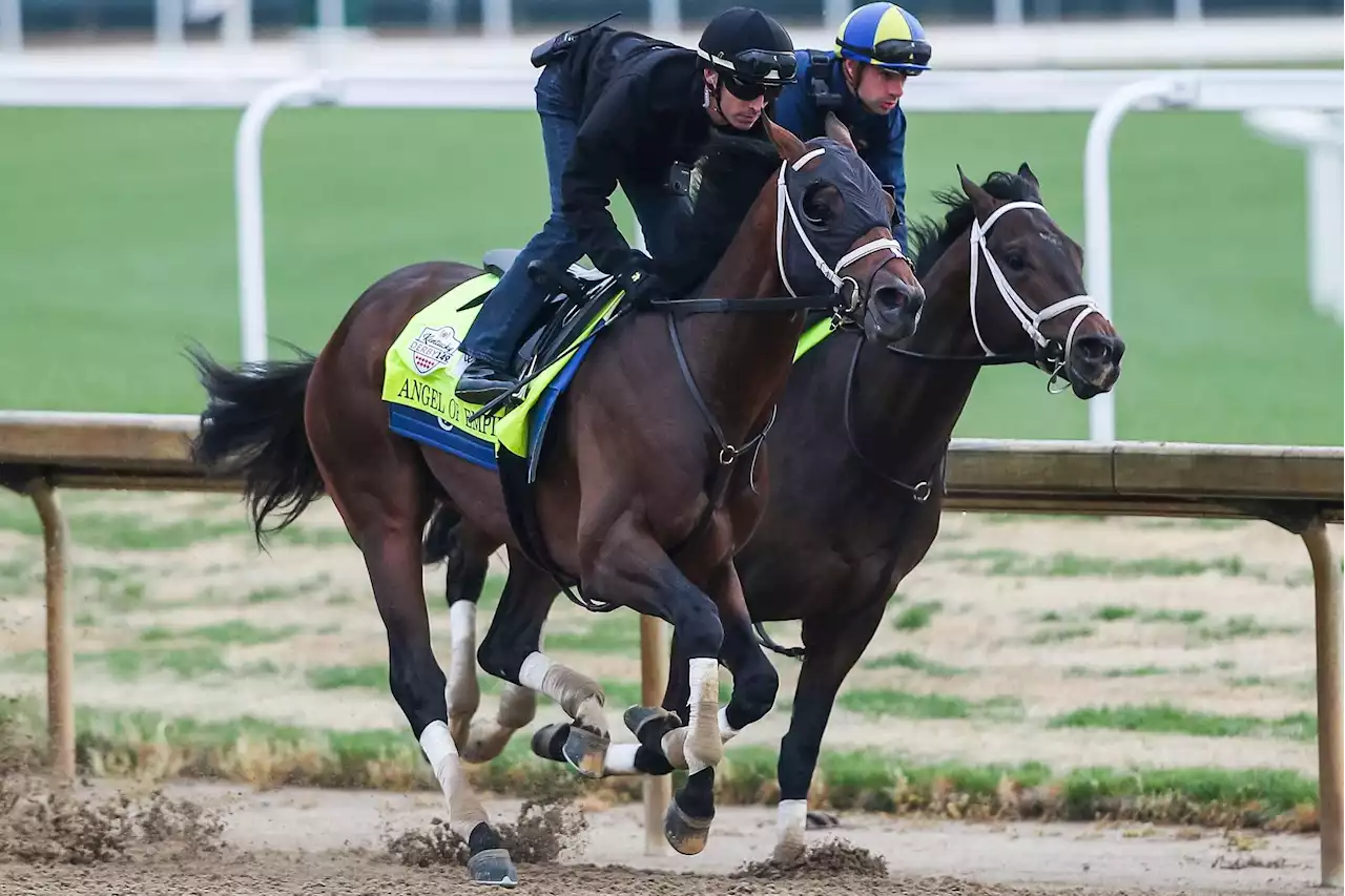 Free Kentucky Derby Picks & Predictions 2023 - Expert Picks for Churchill Downs