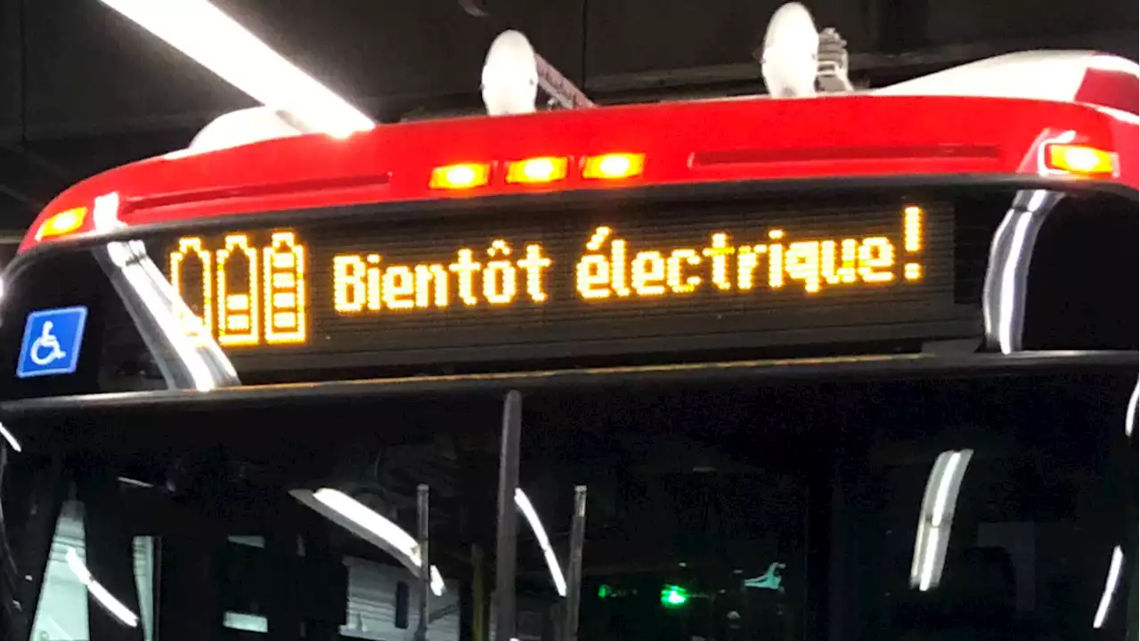 Electric buses can operate on OC Transpo routes, report concludes