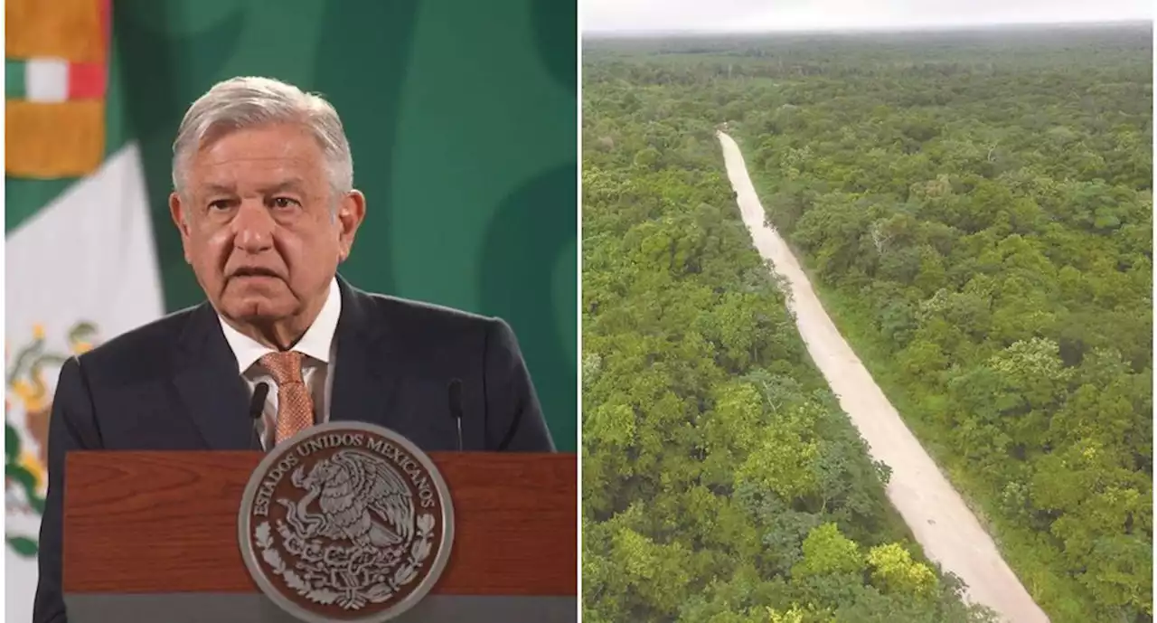 Niega AMLO relleno de cuevas por Tren Maya | El Universal