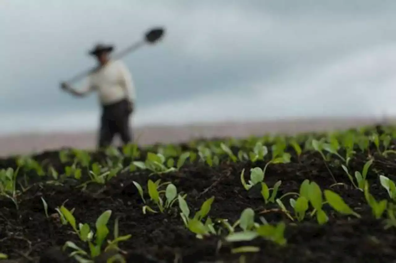 Los cambios en restitución de tierras que trae el nuevo Plan Nacional de Desarrollo