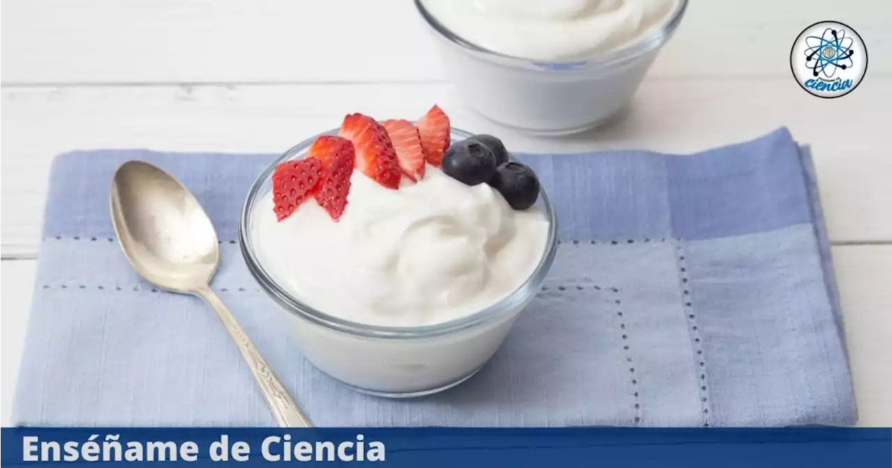 Estas son las marcas de yogur que la PROFECO NO recomienda comprar, no pasaron las pruebas