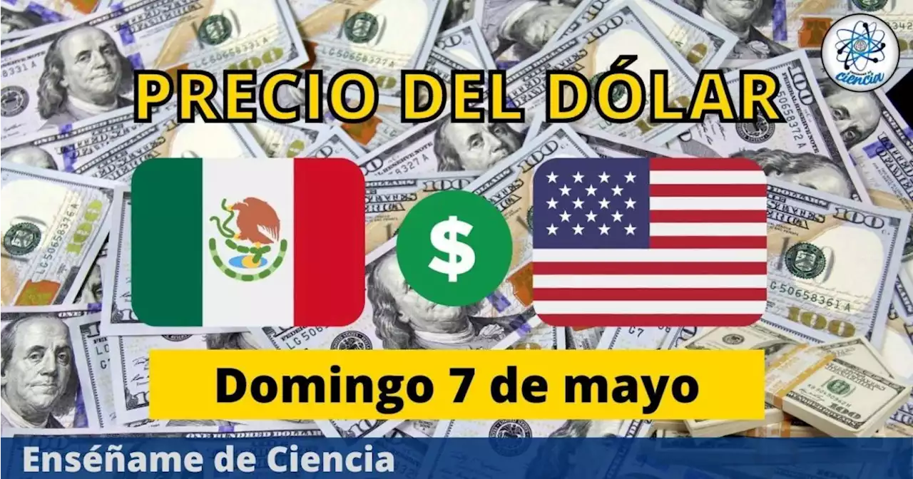 Precio del dólar hoy domingo 7 de mayo ¿cómo amaneció el tipo de cambio en México?