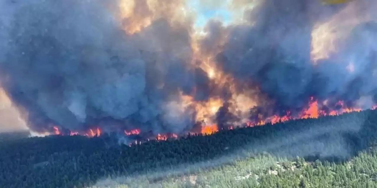 Feux de forêt au Canada : état d'urgence dans l'Alberta, 25.000 personnes évacuées