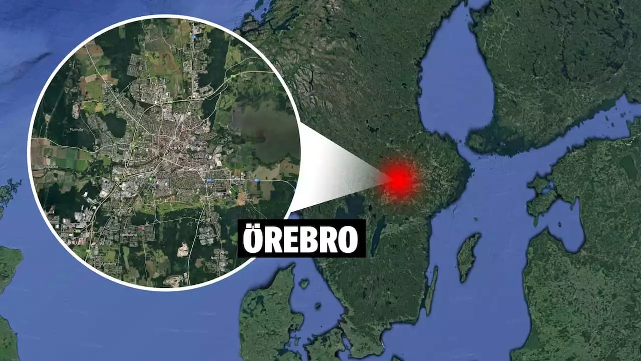 Blodig man gripen vid svårt skadade hundar