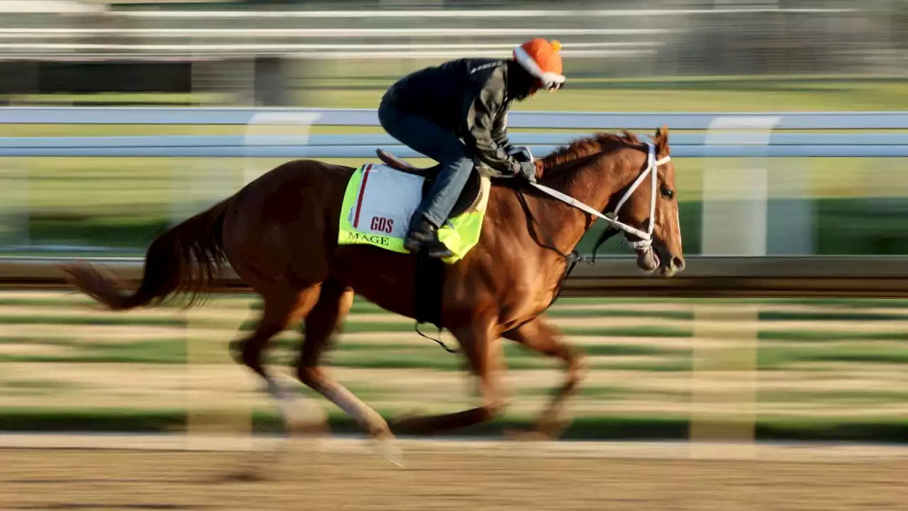 Kentucky Derby: Mage crosses finish 1st amid drama, deaths