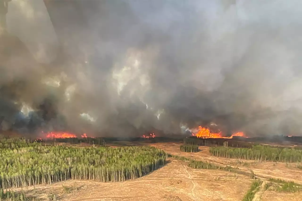 Tens of thousands evacuated as more than 100 wildfires burn in Alberta