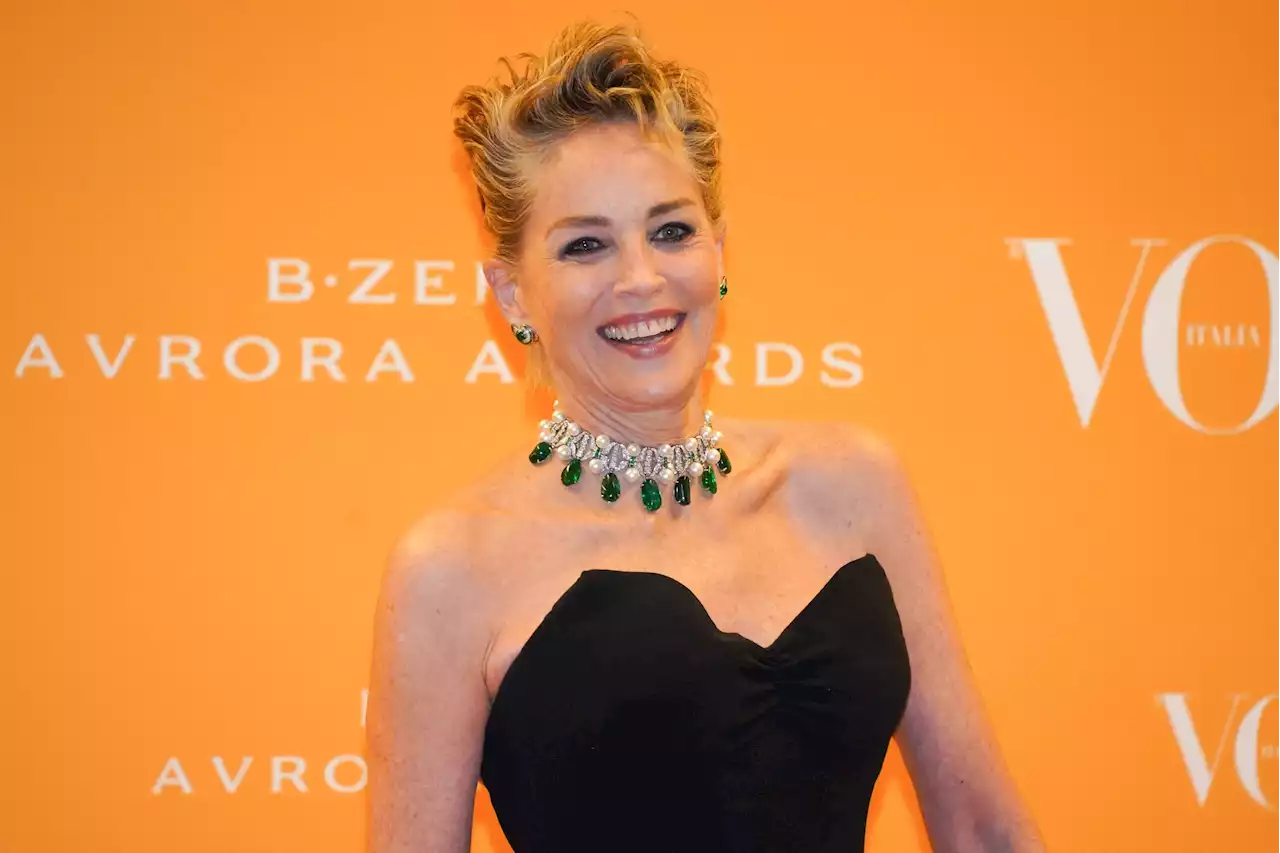 Sharon Stone (65 ans) : époustouflante dans une robe ultra-glamour