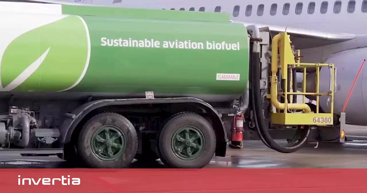 Qué es el biocombustible SAF: desechos agrícolas, algas, residuos orgánicos y aceite de cocina para volar en avión