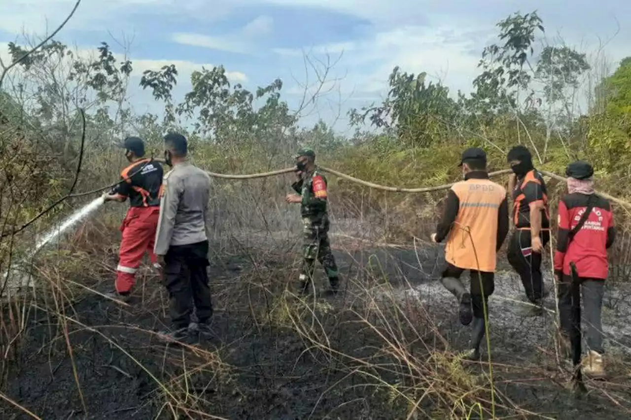 Titik Panas di Kaltim Berkurang Drastis