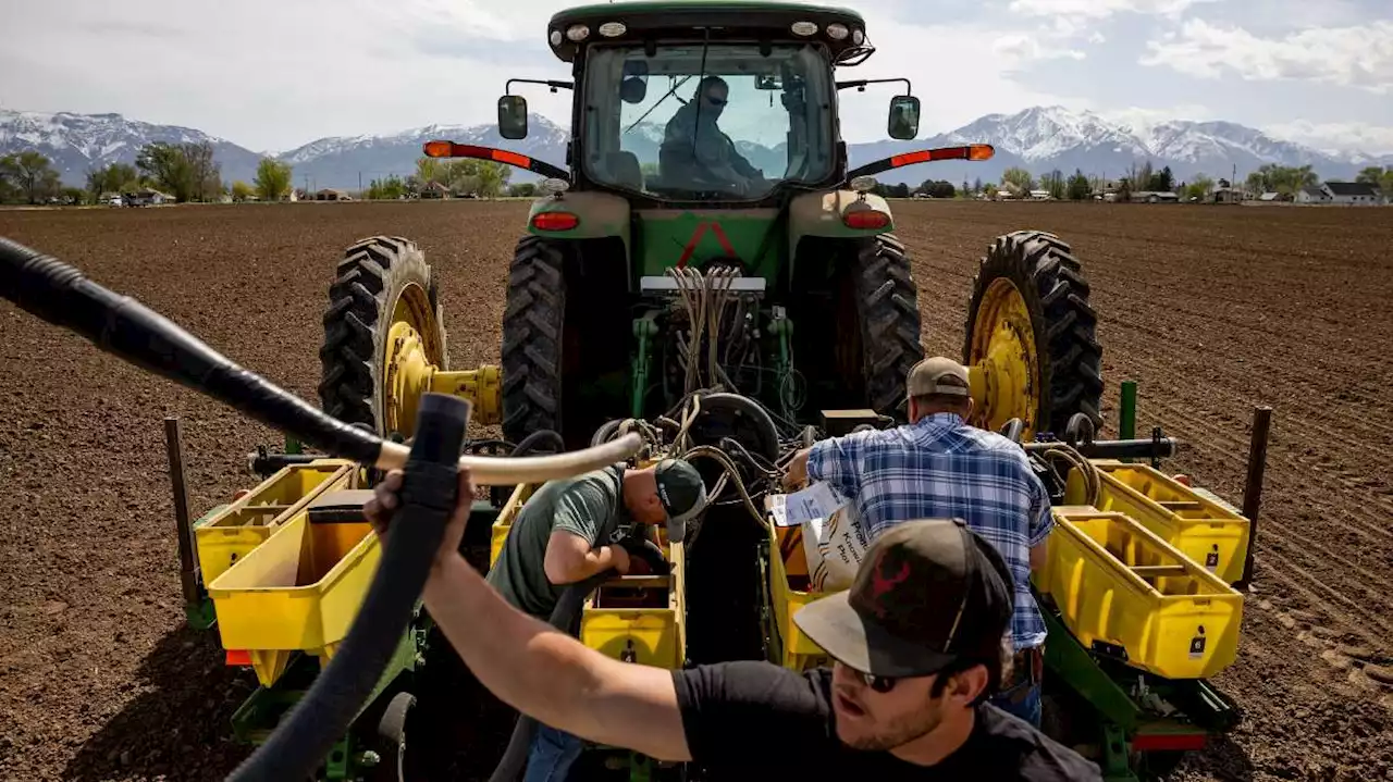 Too much water hitting farming hard in northern Utah