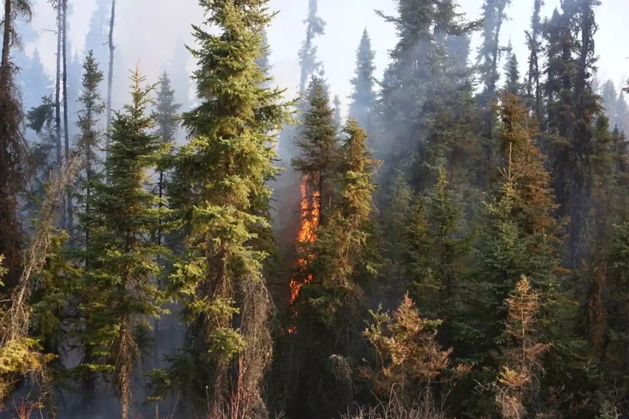 Feux de forêt au Canada : l’état d’urgence déclaré dans l’Alberta, 25 000 personnes évacuées