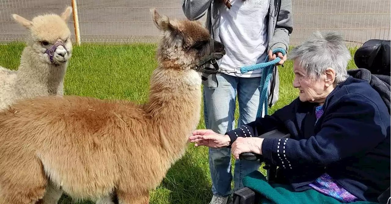 Tarascon : les animaux s'invitent à la Maison d'accueil spécialisée