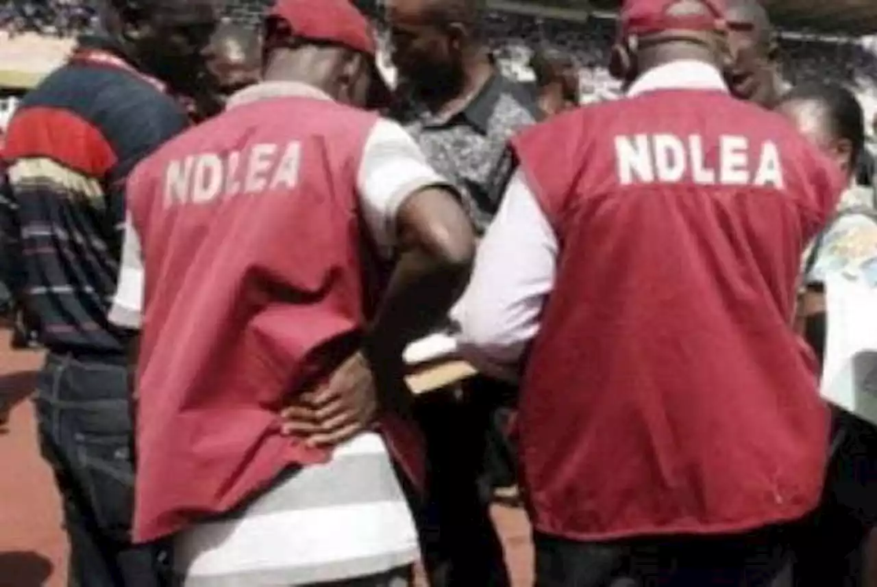 NDLEA Seizes 8,852kg Illicit Drugs After Gunfight In Lagos