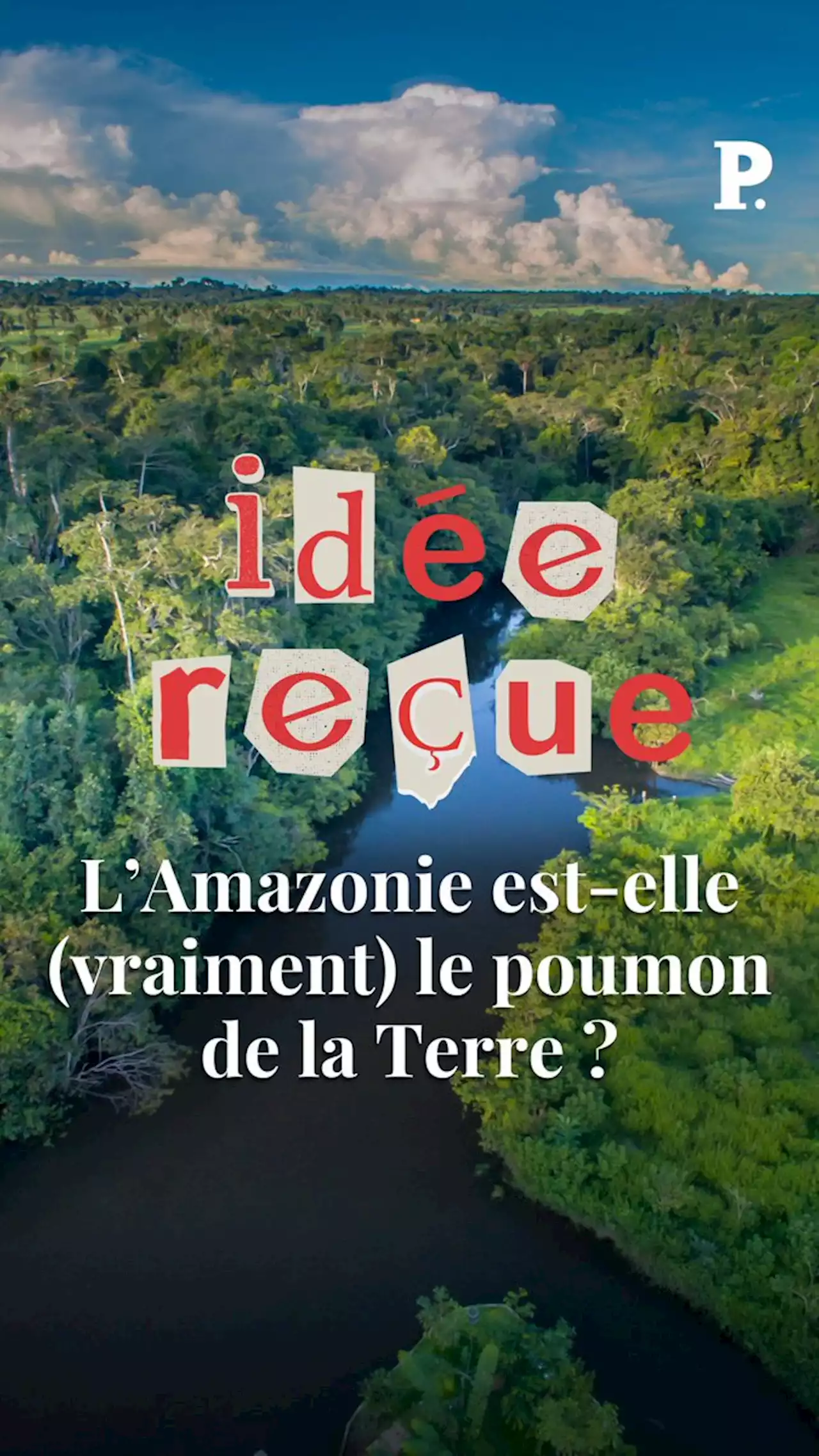 L’Amazonie est-elle (vraiment) le poumon de la Terre ?