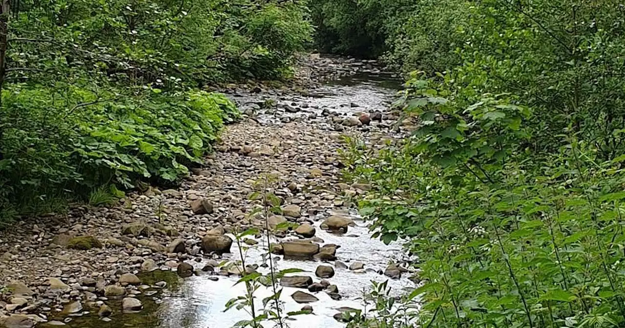 Walk to hidden gem nature trail with a river for paddling and top rated pub