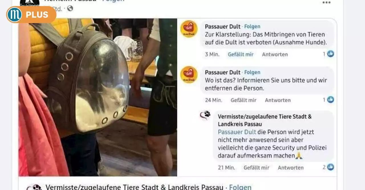 Mit Katze im Rucksack auf Passauer Dult: Foto auf Facebook sorgt für Empörung