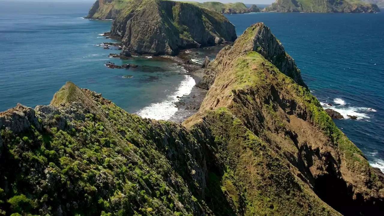 Dive into the Watery Remains of Shipwrecks at This National Park