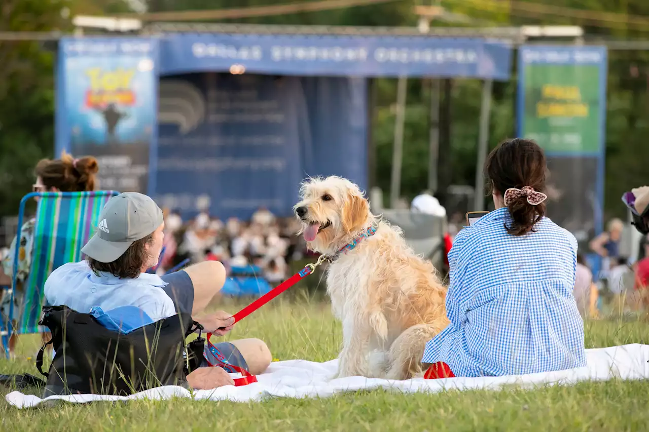 Dallas Symphony Orchestra Kicks Off Summer With Free Park Concert Series