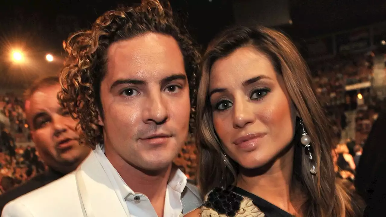 David Bisbal y Elena Tablada: todos los detalles del acuerdo económico que firmaron tras su separación