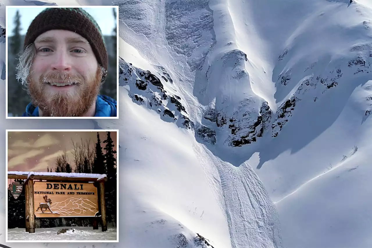 National Park Service employee killed in avalanche he triggered on solo ski trip