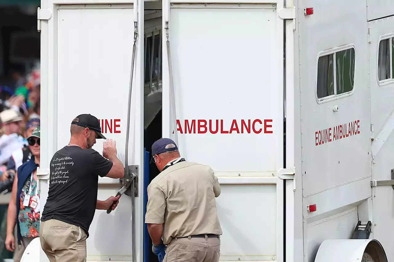 PETA calls Churchill Downs ‘a killing field’ after seven horses die before Kentucky Derby