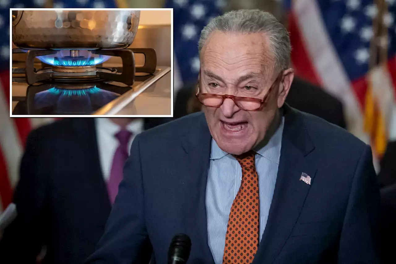 Senate Democrats voted in 2021 against prohibiting gas stove bans